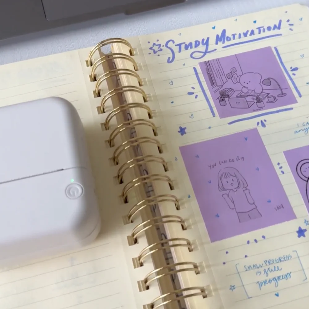 Colored Pod Rolls™ - Image 3