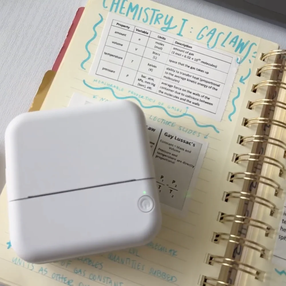 White Pod Rolls™ - Image 4